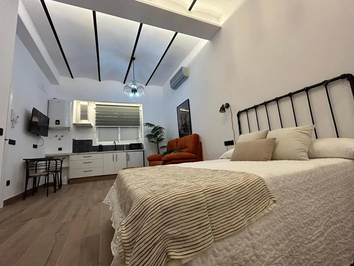Апартаменты Apartamentos Casa El Gorras Кордова