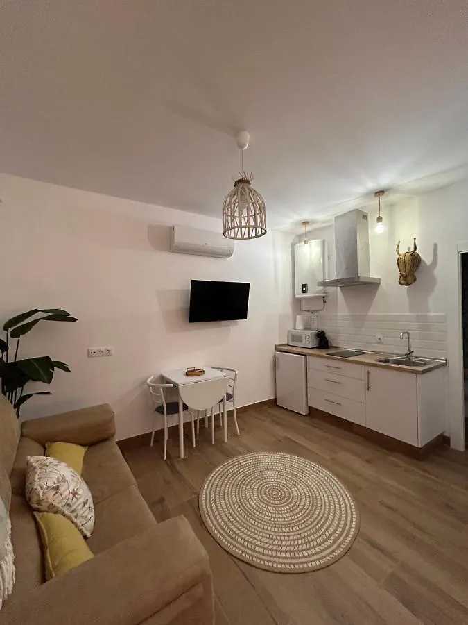 Апартаменты Apartamentos Casa El Gorras Кордова